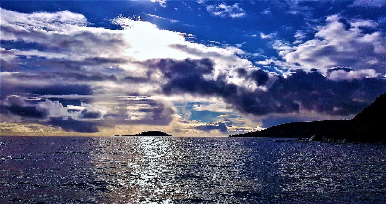 Schooner Point Guest House Looe Luaran gambar